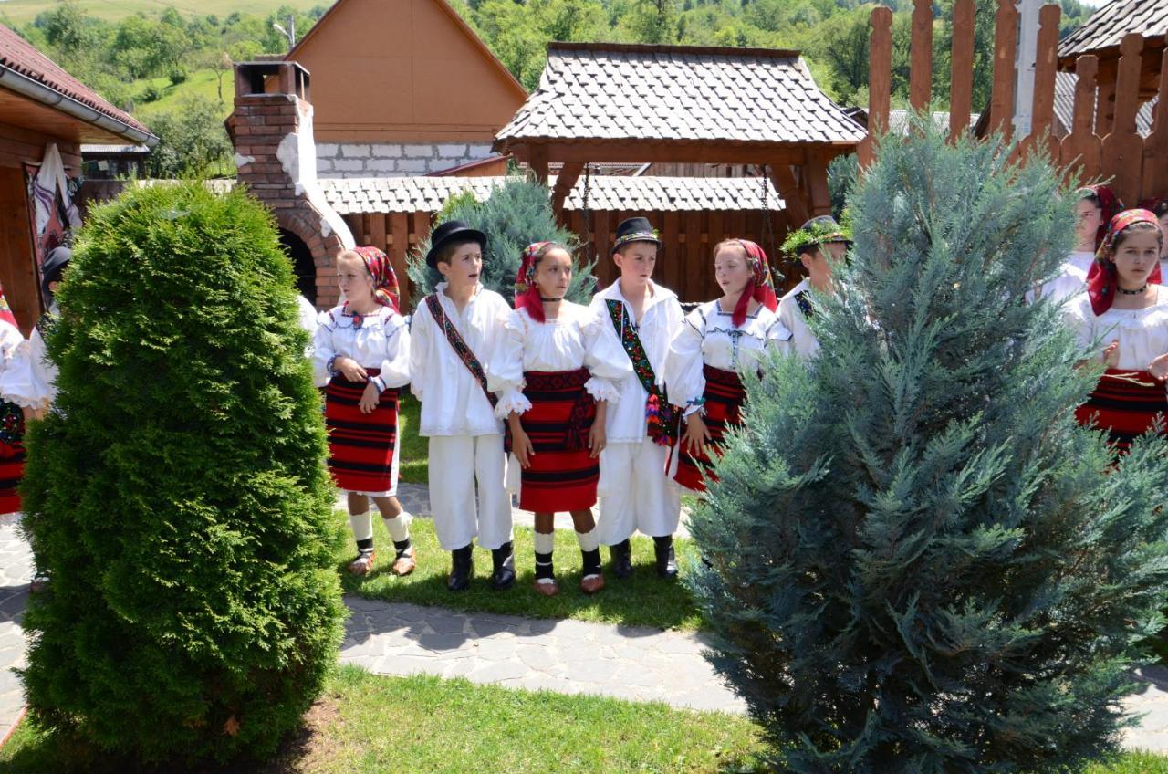 Pensiunea Cretuca Botiza Экстерьер фото